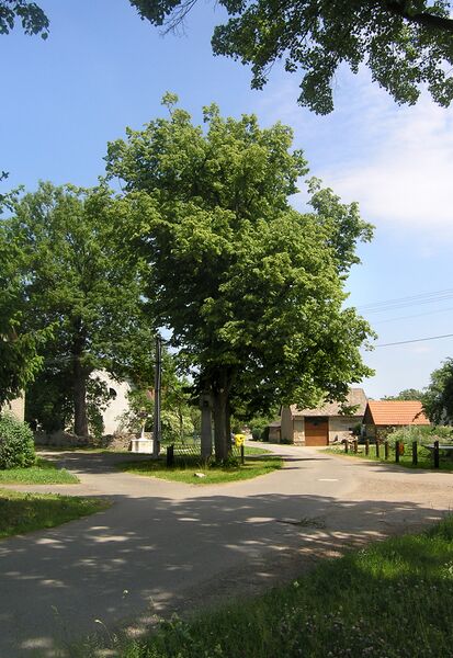ملف:Olbramovice Městečko, common.jpg
