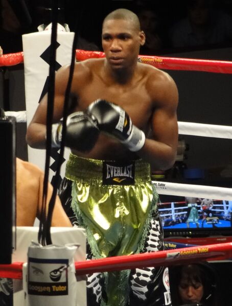 ملف:Paul Williams (boxer).jpg