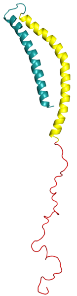 ملف:Alpha-synuclein 2005.png