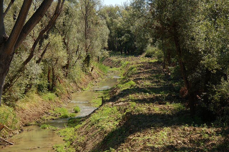 ملف:Fiume Osento 2010-by-RaBoe-003.jpg