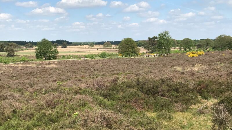 ملف:Havelterberg IMG-20180511-WA0009.jpg