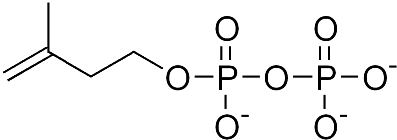 ملف:IPP.png