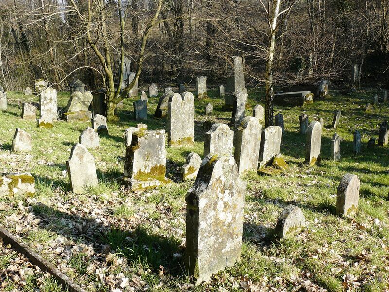 ملف:Jungholtz 147.JPG