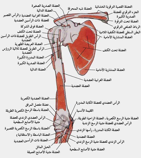ملف:Part3.jpg