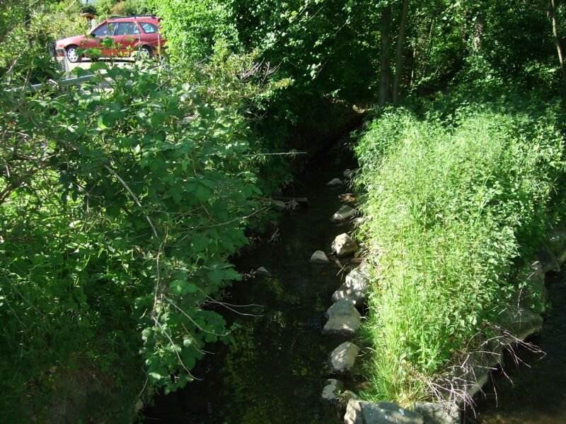 ملف:2008 0510Waldbach.JPG