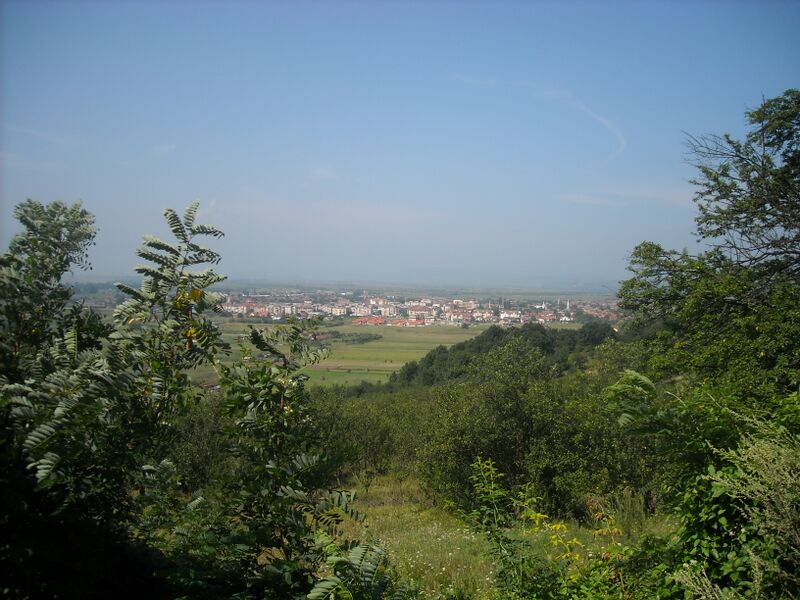 ملف:Hatszeg latkepe.jpg