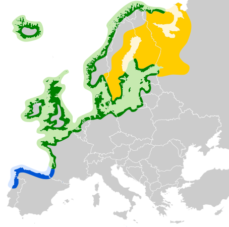 ملف:Larus argentatus map.svg