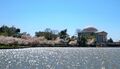 Wide view of the Tidal Basin with blossoms in 2010.