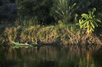 埃及 运河上的渔夫 - panoramio.jpg