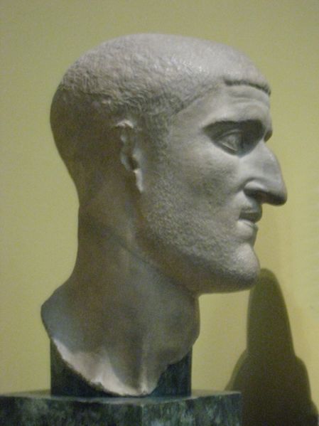 ملف:Const.chlorus02 pushkin.jpg
