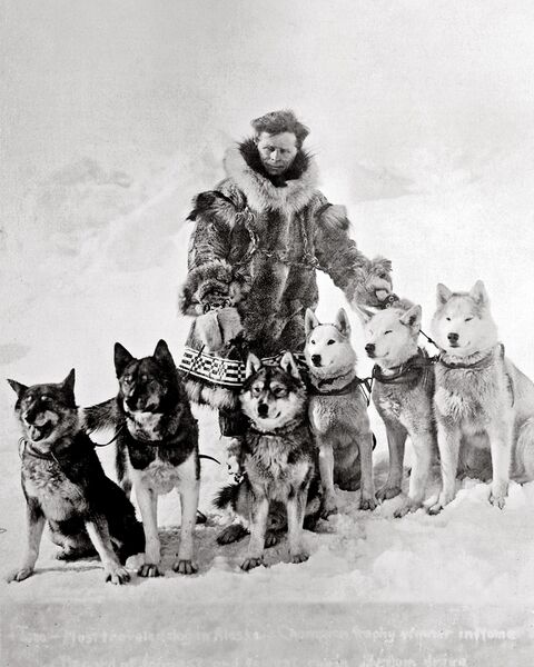 ملف:Leonhard Seppala with dogs.jpg