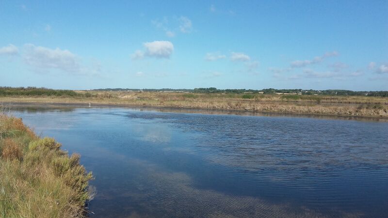 ملف:Marais du Mès 01.jpg