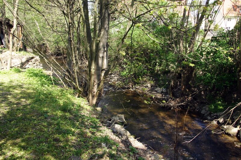 ملف:Rhene in Adorf.JPG