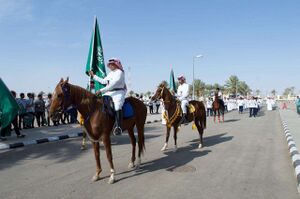 خيال المعطاء معاوية .jpg