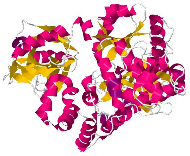 ملف:DNA Ligase.jpg