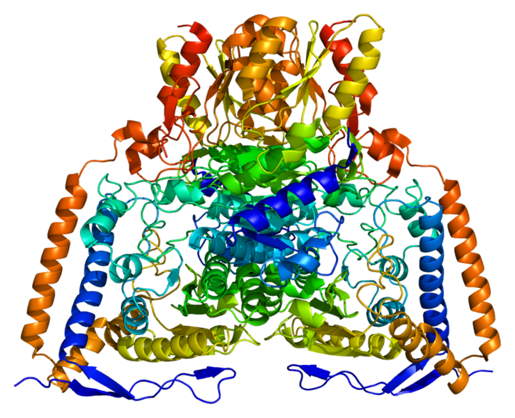ملف:Protein PDHA1 PDB 1ni4.png