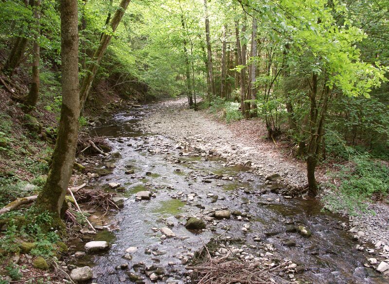 ملف:Schmerach 120507.jpg