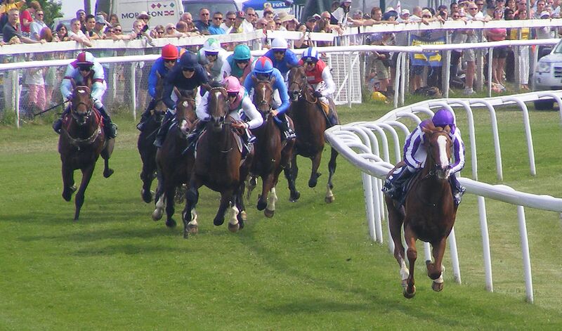 ملف:2010 Epsom Derby.jpg