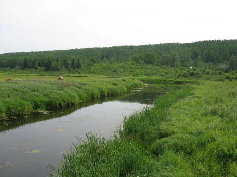 ملف:Amisk River AB.JPG