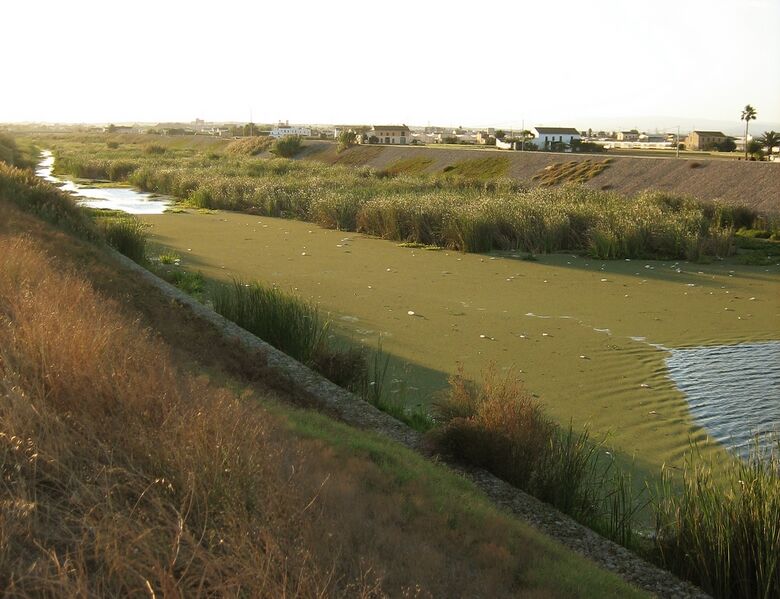 ملف:Barranc del Carraixet.jpg