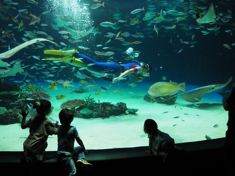 ملف:Breeding staff, Sunshine Aquarium.jpg