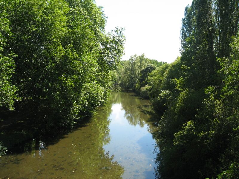 ملف:Charost Arnon.JPG