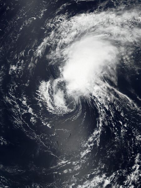 ملف:Emily 2023-08-20 1545Z.jpg