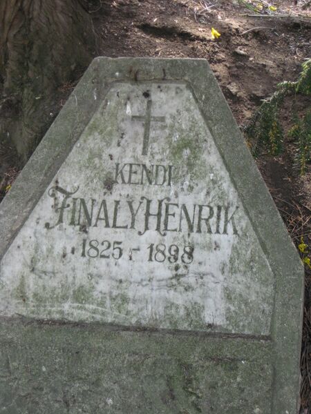 ملف:Hazsongard Kendi Finaly Henrik.JPG