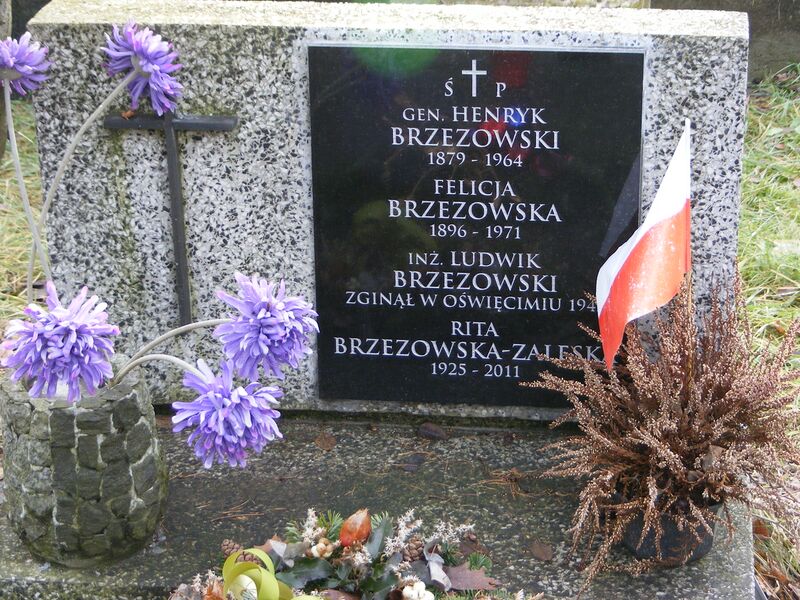 ملف:Henryk Brzezowski grób.JPG