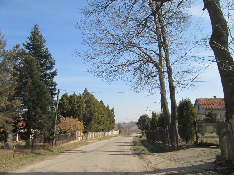 ملف:Popovic 006.JPG