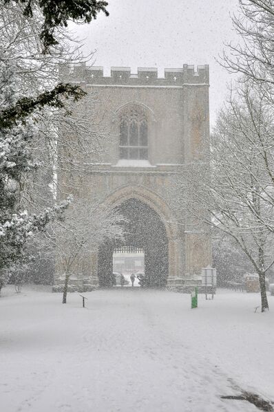 ملف:Abbey Gardens (25663109757).jpg