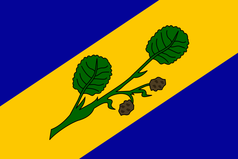 ملف:Flag of Zalsi CZ.svg