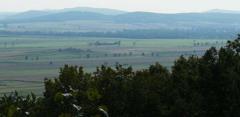 ملف:From Bazaltowa.JPG