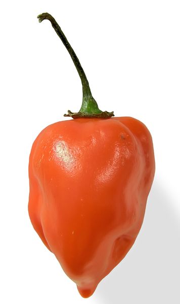 ملف:Habanero closeup edit2.jpg