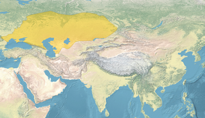 Map of the Golden Horde.png