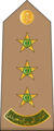 11.RSA-CAPT.svg