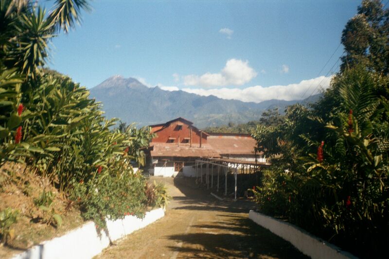 ملف:Finca El Platanillo 1.JPG