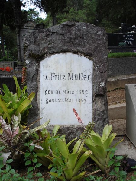 ملف:Grab Fritz Müller Blumenau.jpg