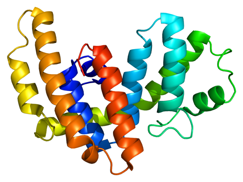 ملف:Protein ARHGEF1 PDB 1iap.png
