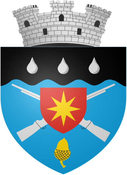 ملف:ROU BT Darabani CoA.svg