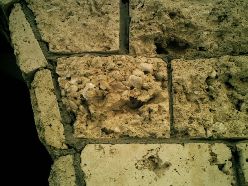 ملف:Rocks from Red sea.jpg