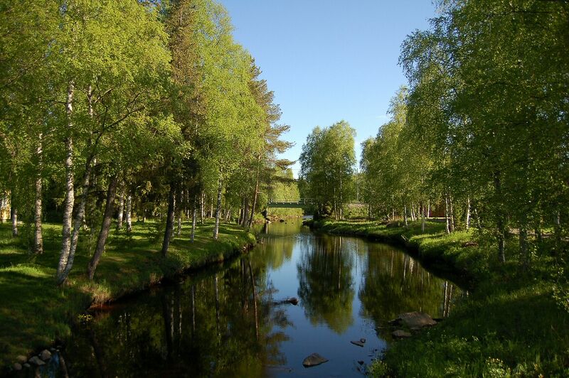 ملف:Viantiejoki 2007 06 08.jpg