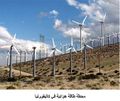 تصغير للنسخة بتاريخ 02:37، 17 يونيو 2009
