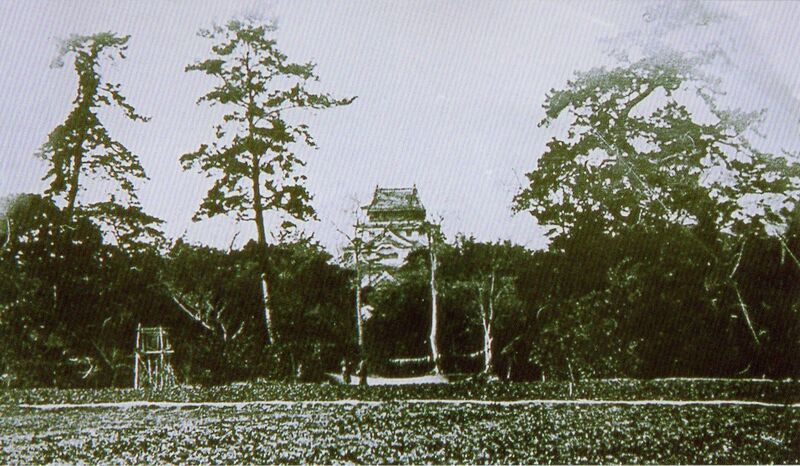 ملف:Yanagawa Castle.jpg