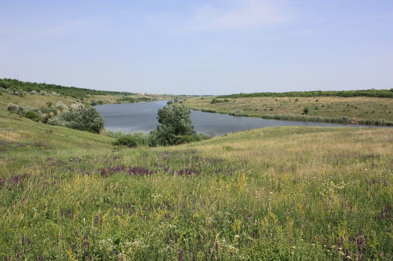 ملف:Долина річки Синиця.JPG