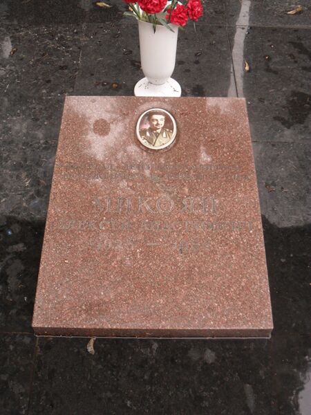 ملف:Могила генерал-лейтенанта Алексея Микояна.JPG