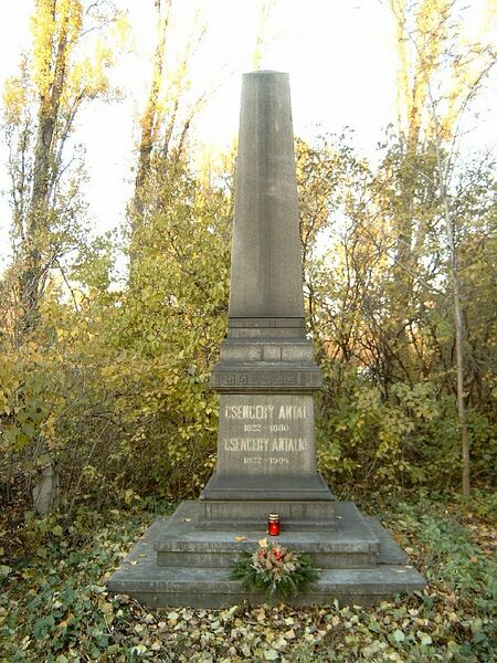 ملف:Csengery Antal sírja.jpg