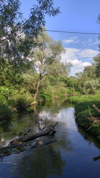 ملف:Istya Kiselevo.jpg