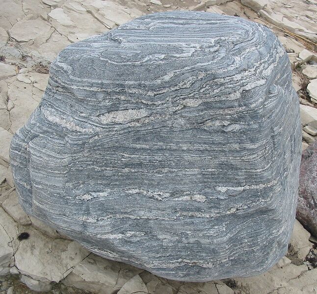 ملف:Migmatite 2005.jpg