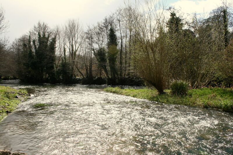 ملف:RiverAwbegCastletownroche.JPG